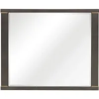Danridge Mirror in Brownish Gray by Homelegance