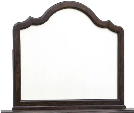 Cooper Falls Beveled Glass Mirror in Brown by Samuel Lawrence