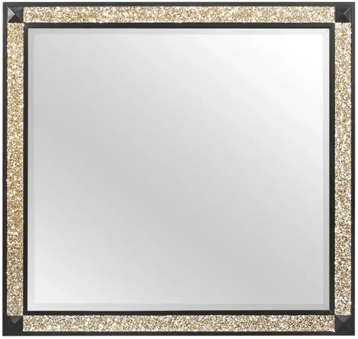 Blake Mirror in Black/Gold by Global Furniture Furniture USA