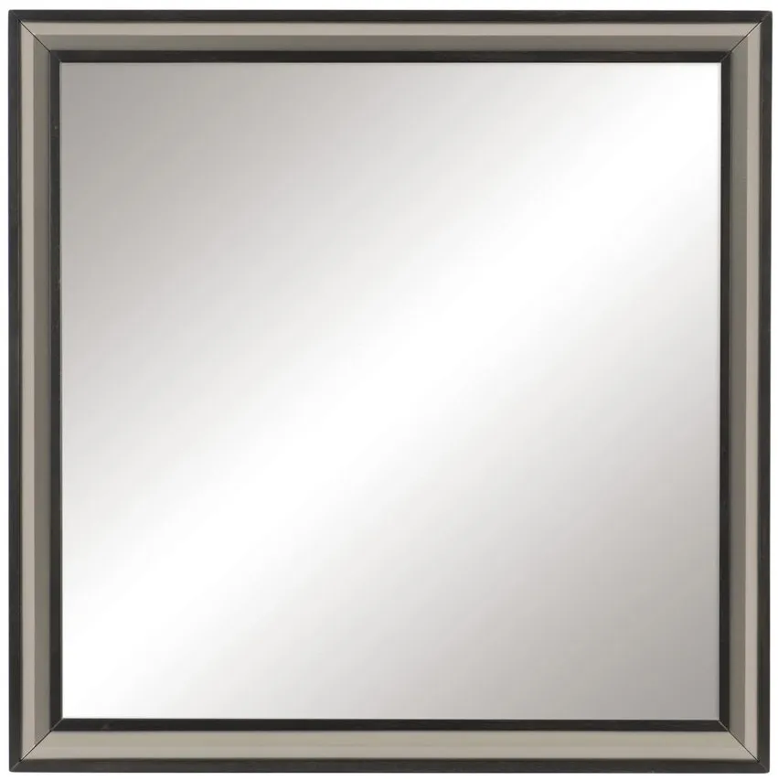 Charlie Mirror in 2-Tone Finish: Ebony and Silver by Homelegance
