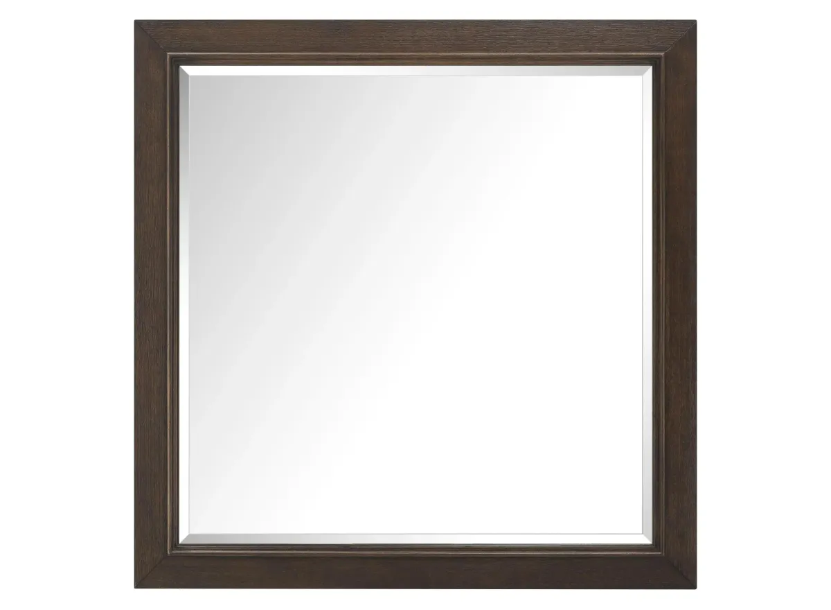 Bexley Mirror in Brown by Davis Intl.