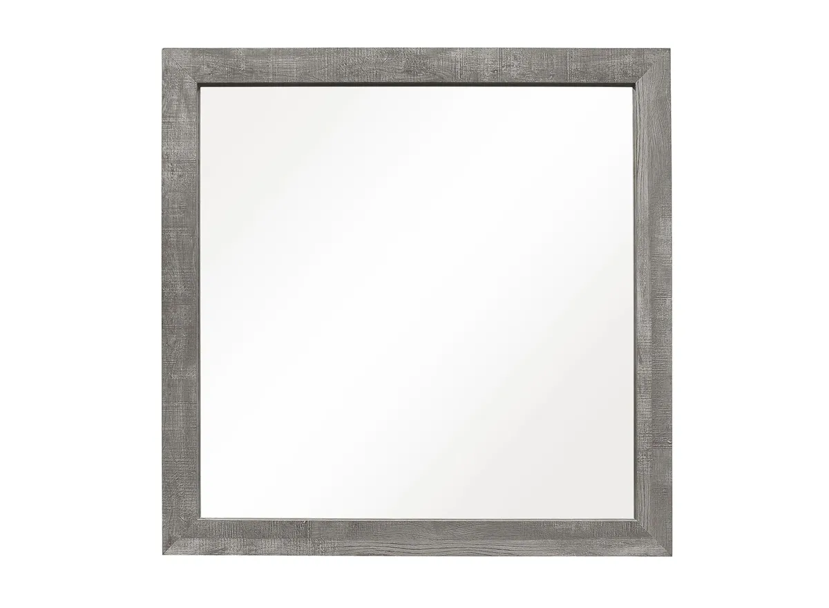 Bijou Mirror in Gray by Homelegance