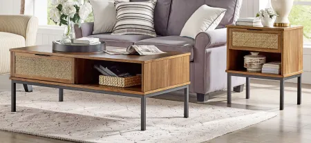 Caine Rattan Nightstand in Brown by New Pacific Direct