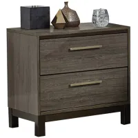 Solace Nightstand in Antique gray and dark brown by Homelegance