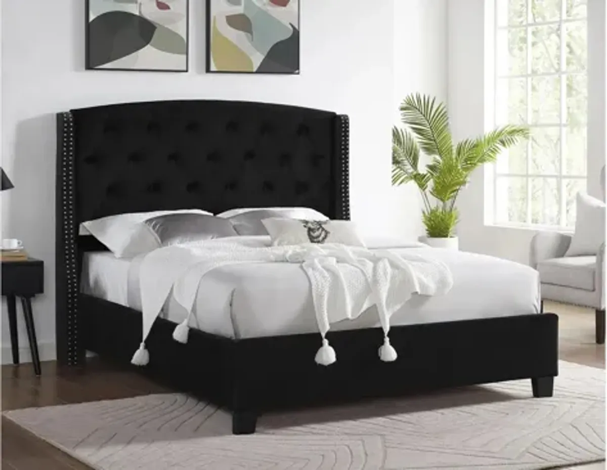 Eva Tufted Upholstered Bed