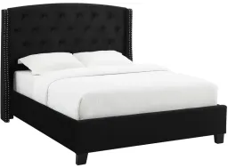 Black color
