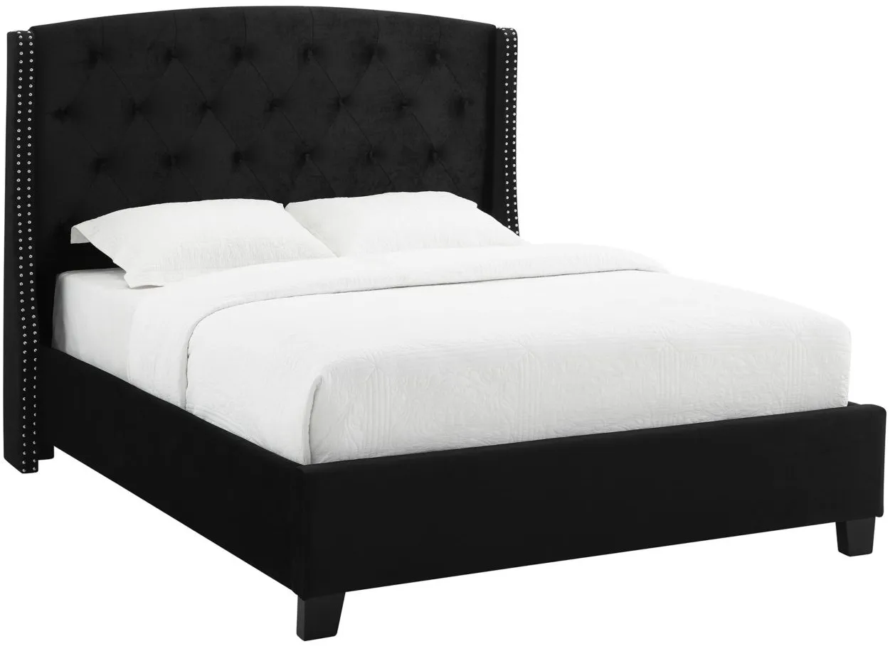 Eva Tufted Upholstered Bed in Black by Crown Mark
