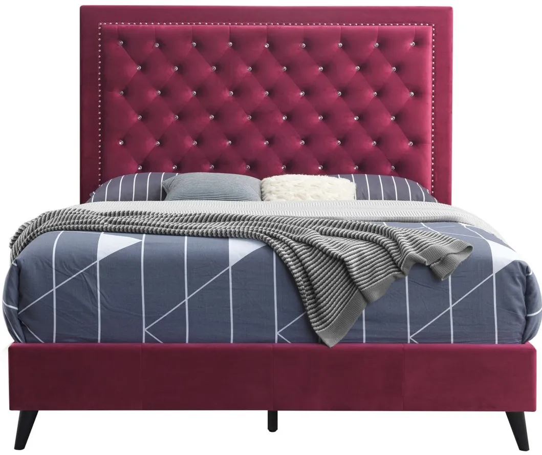 Alba Upholstered Panel Bed in Burgundy by Glory Furniture