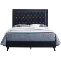 Alba Upholstered Panel Bed in Black by Glory Furniture