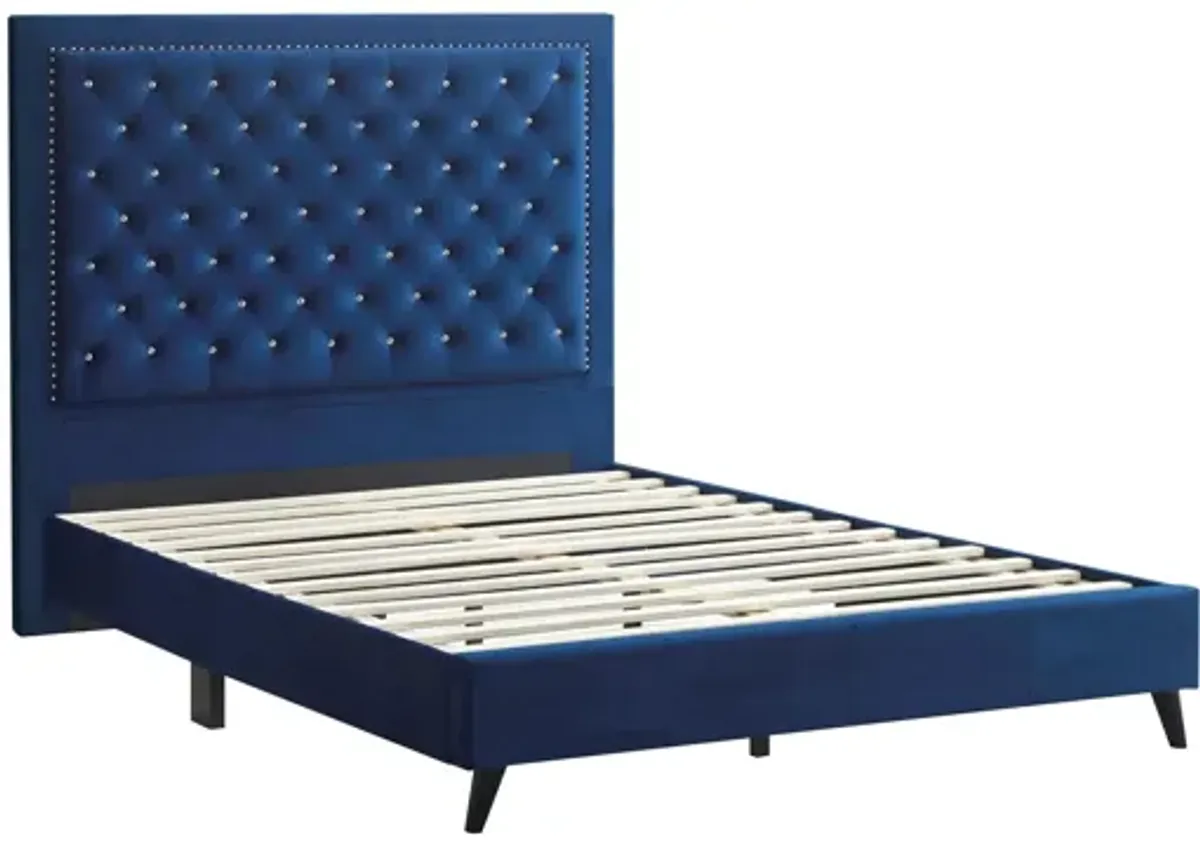 Alba Upholstered Panel Bed