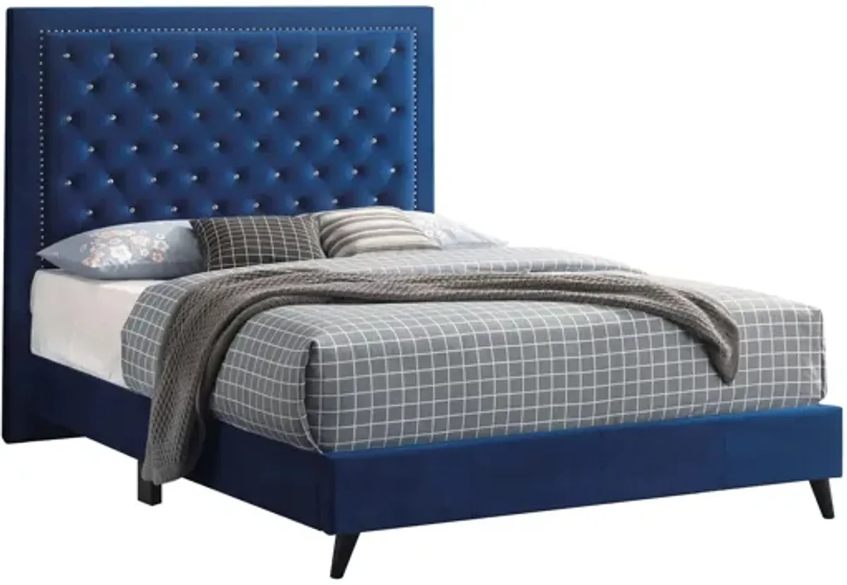 Alba Upholstered Panel Bed