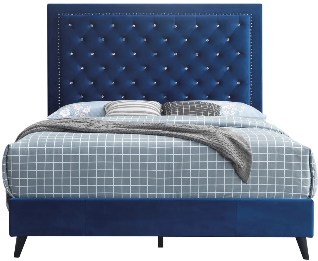 Alba Upholstered Panel Bed in Navy Blue by Glory Furniture