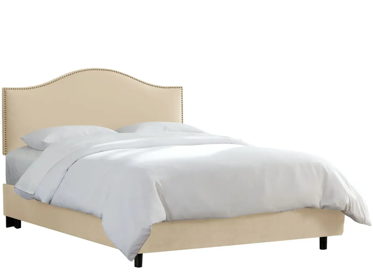 Alexander Bed in Velvet Buckwheat by Skyline