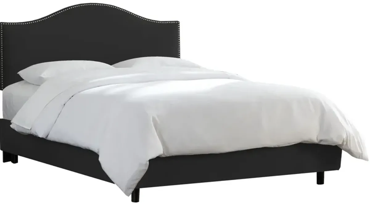 Alexander Bed in Velvet Black by Skyline