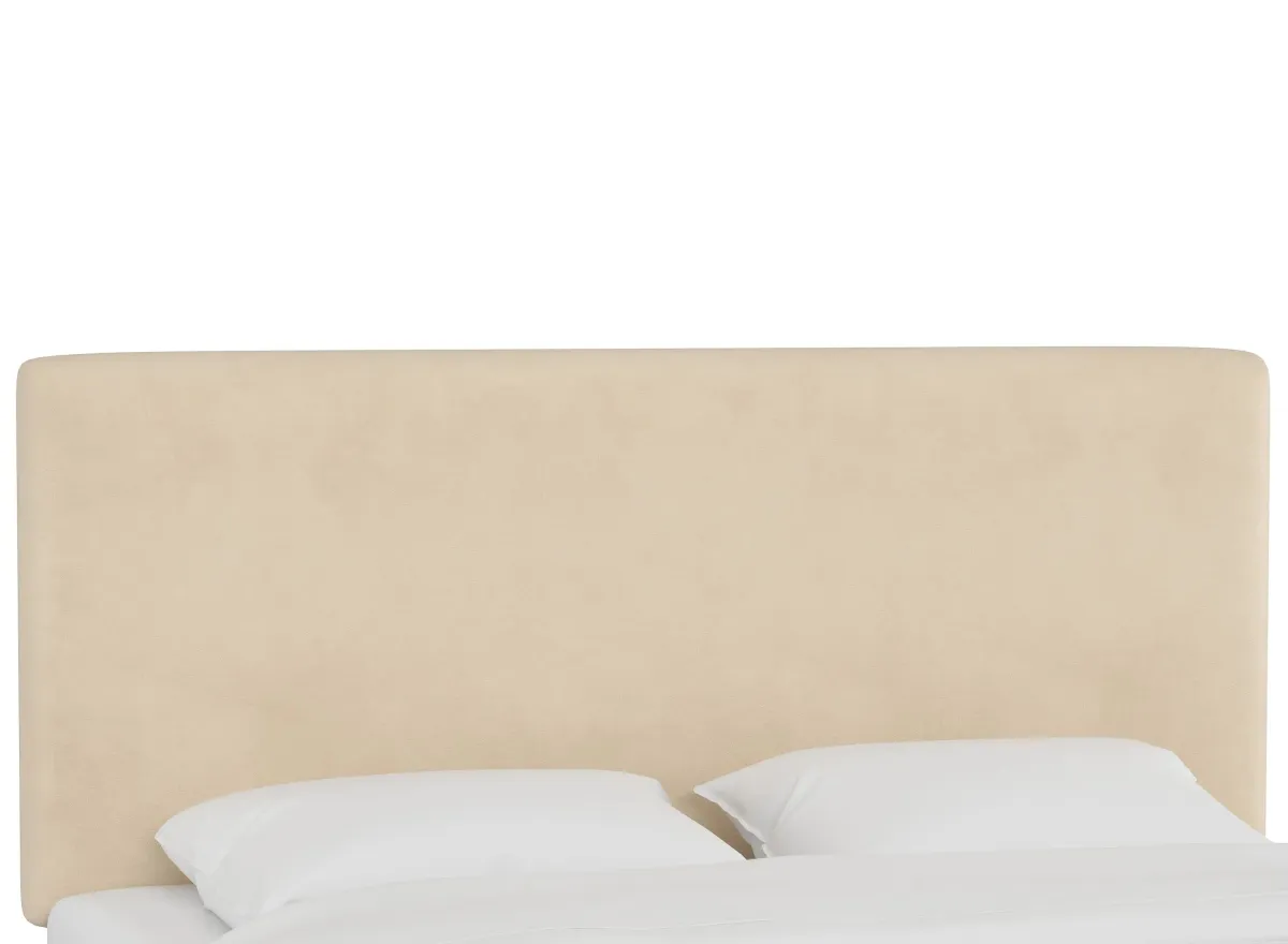 Valerie Headboard in Velvet Buckwheat by Skyline