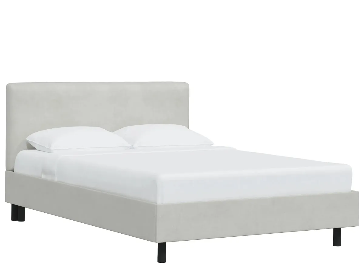 Valerie Platform Bed in Velvet Light Gray by Skyline