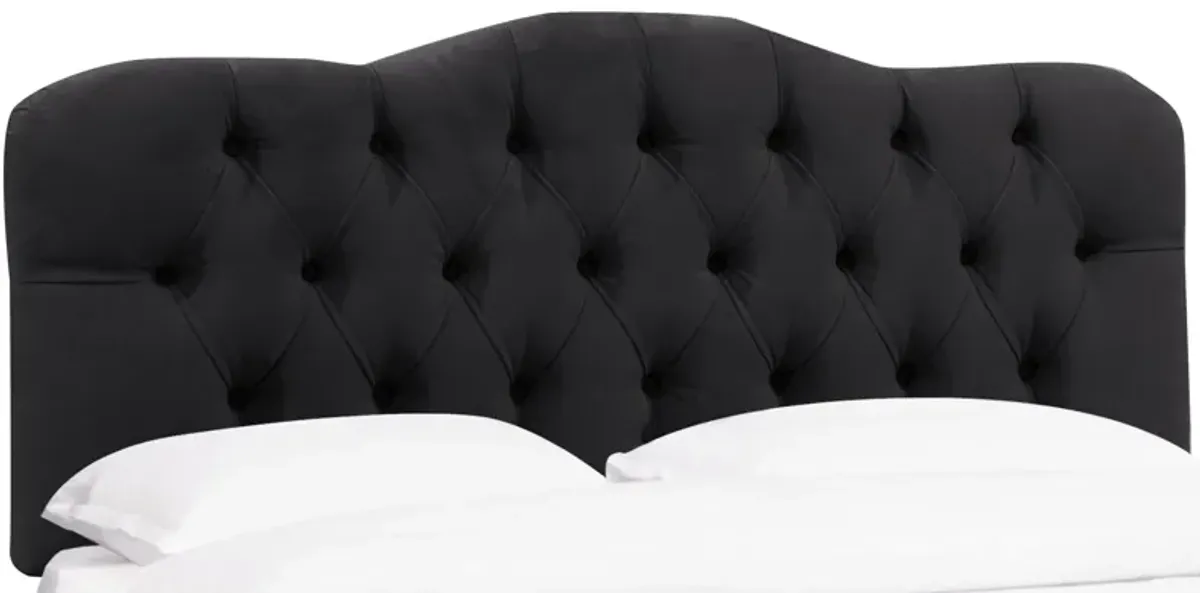 Argona Headboard in Velvet Black by Skyline