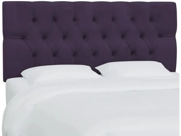 Blanchard Headboard