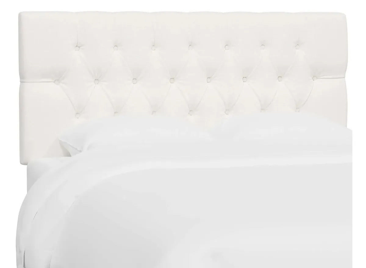 Blanchard Headboard in Zuma White by Skyline