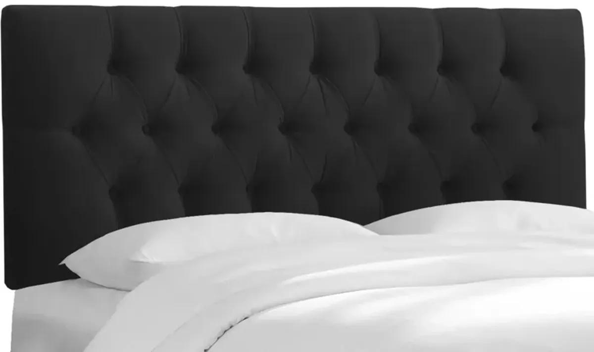 Blanchard Headboard