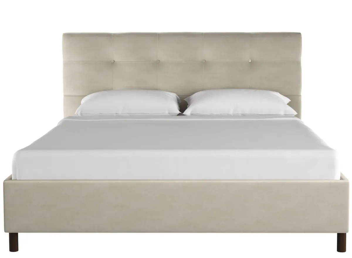 Nathan Platform Bed in Premier Platinum by Skyline