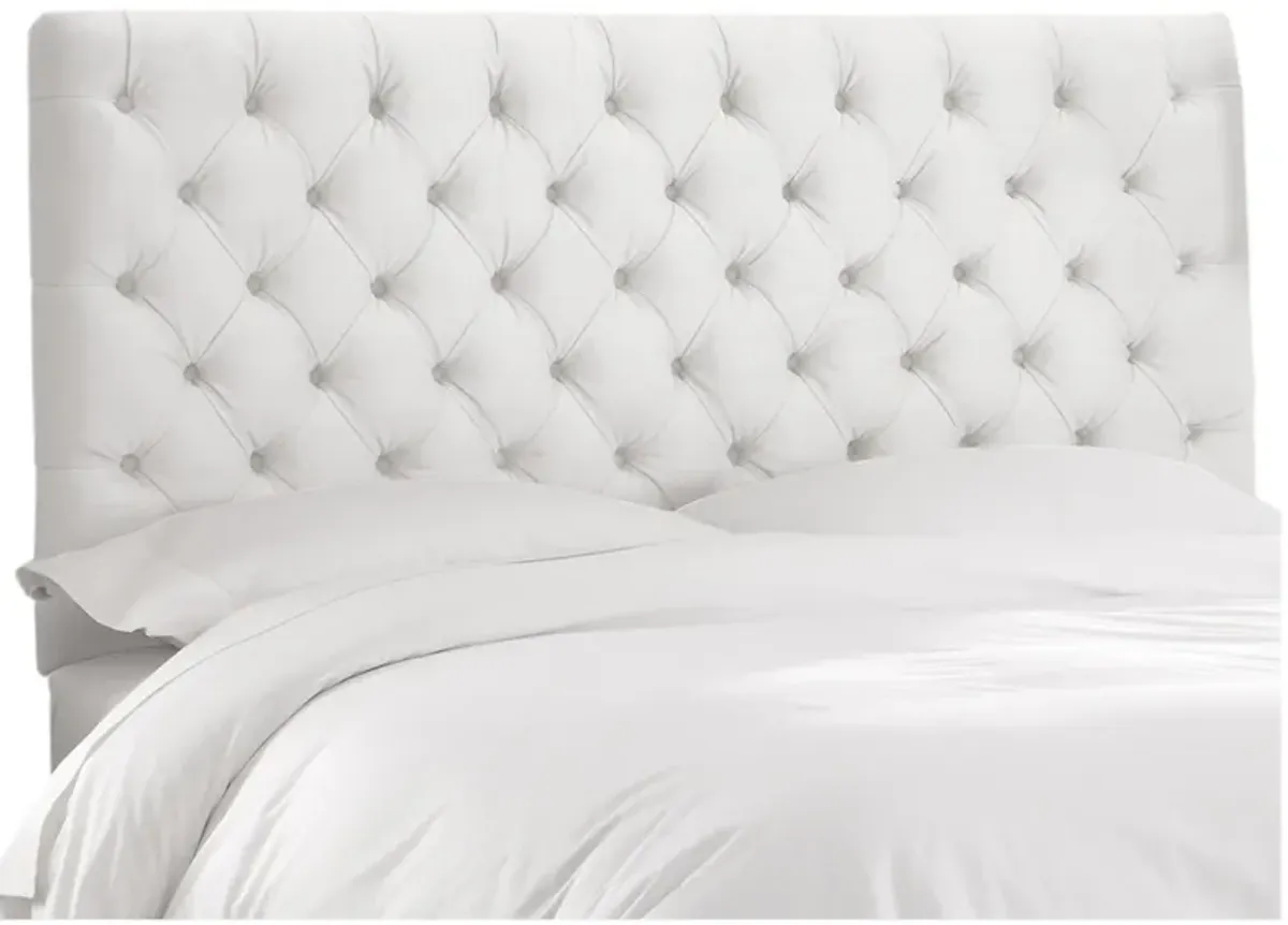 Queensbury Headboard in Velvet White by Skyline