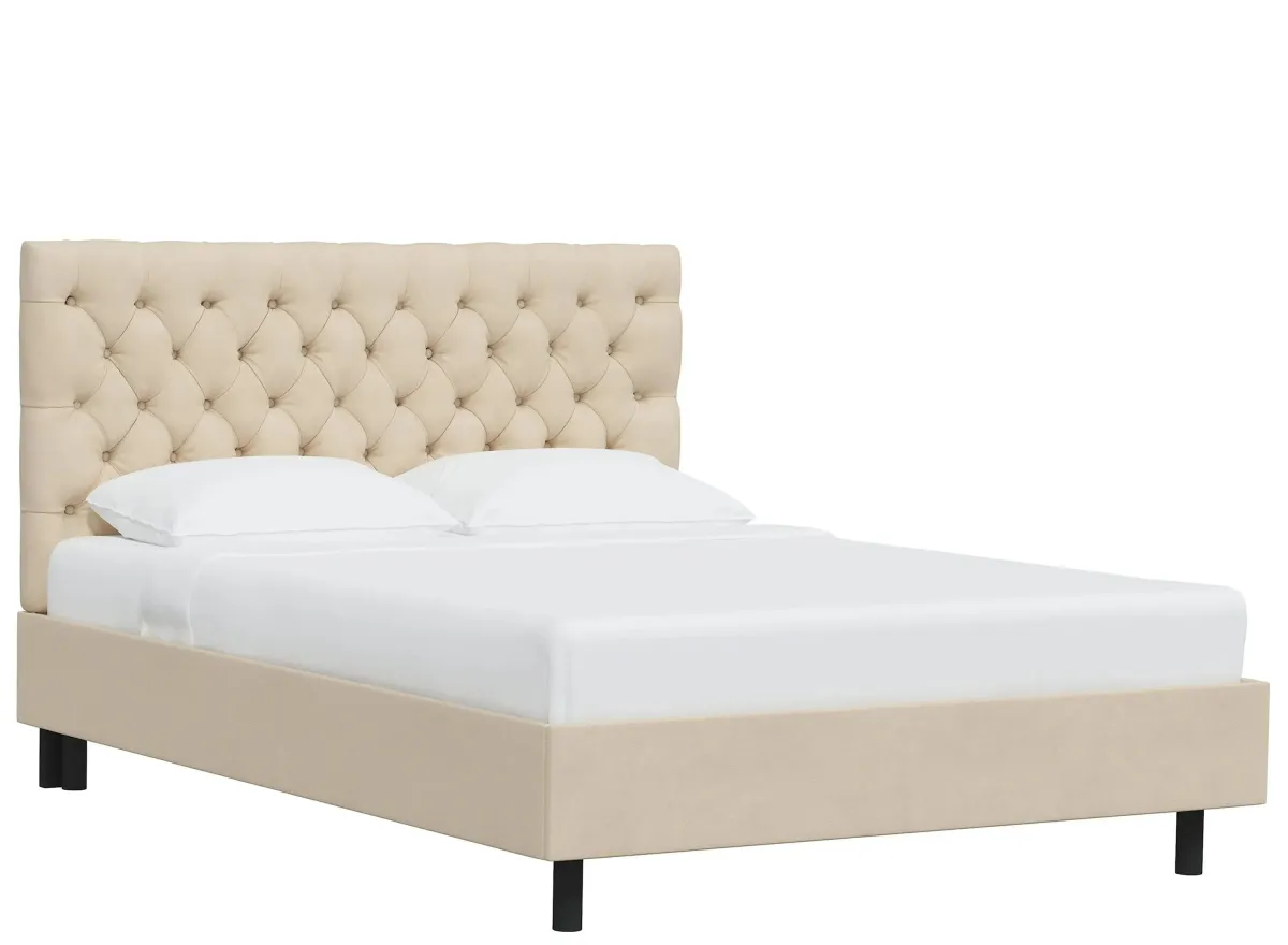 Queensbury Platform Bed in Velvet Buckwheat by Skyline