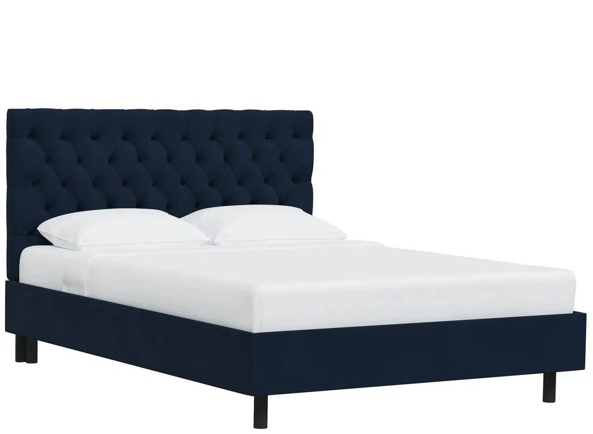 Queensbury Platform Bed in Velvet Ink by Skyline