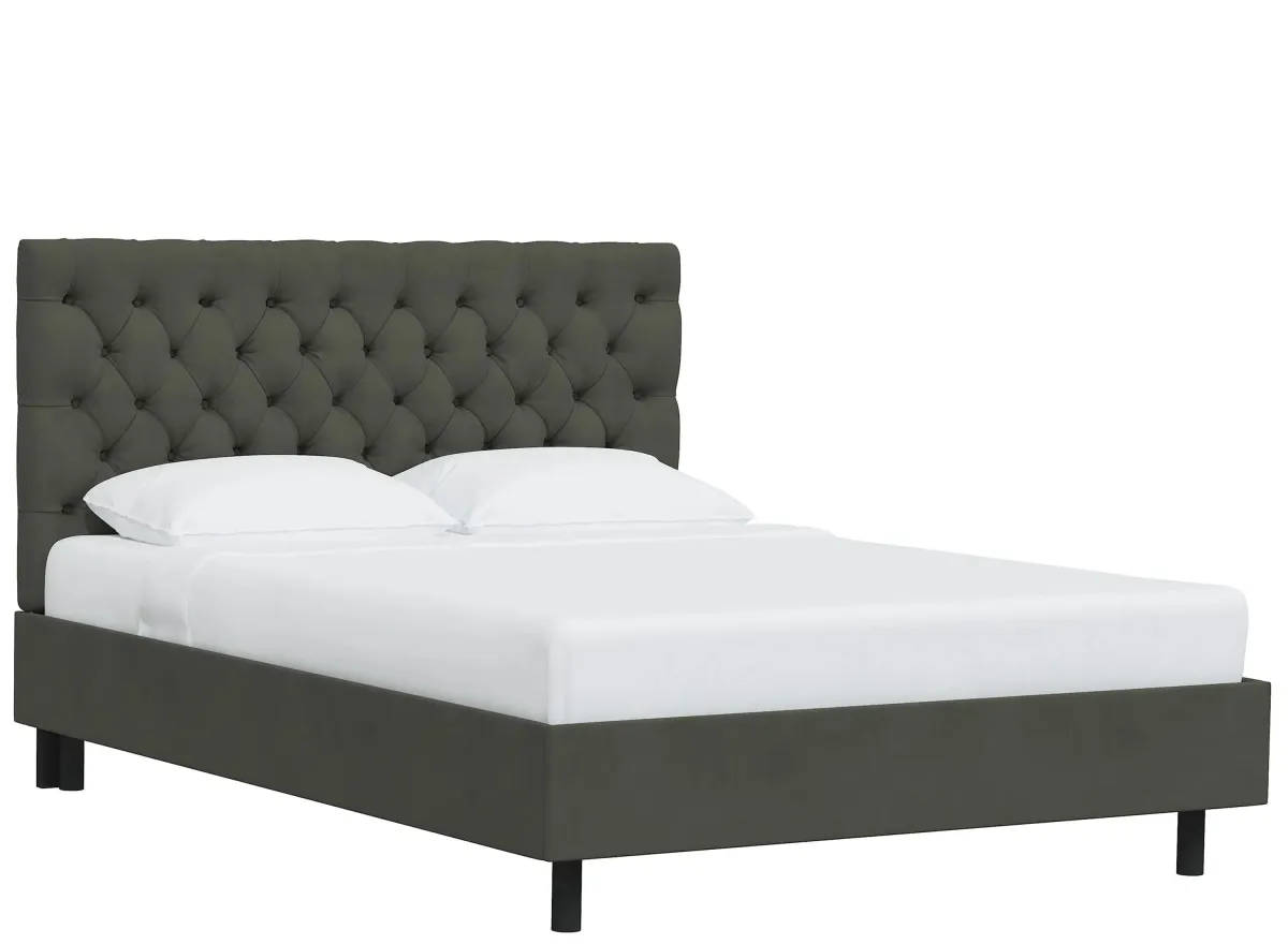 Queensbury Platform Bed in Velvet Pewter by Skyline