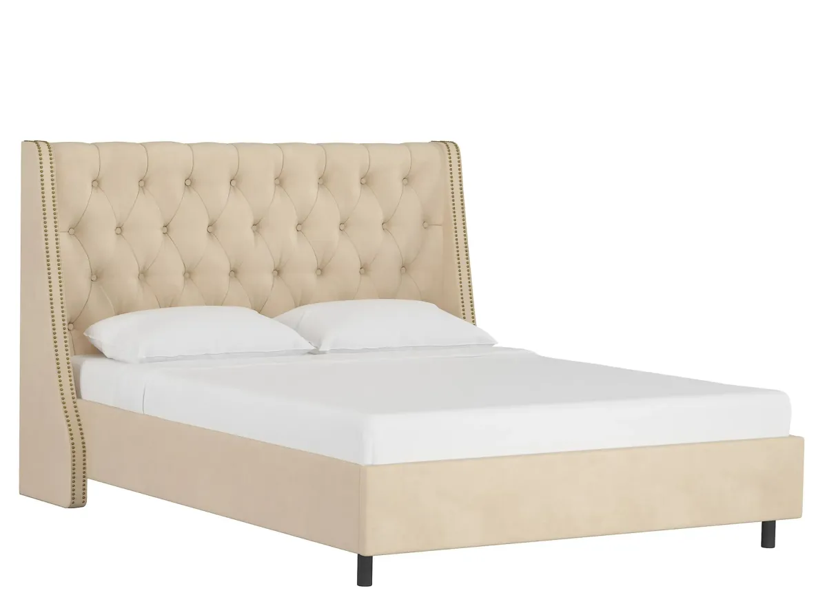 Sheridan Wingback Platform Bed in Velvet Buckwheat by Skyline