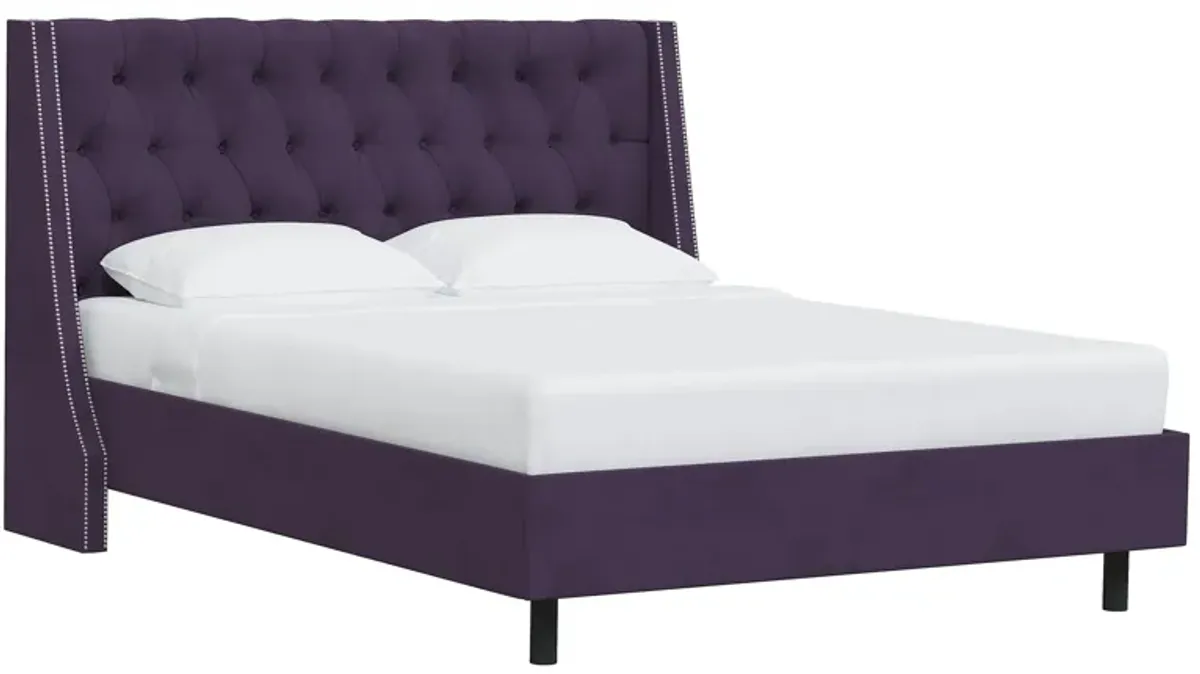 Sheridan Wingback Platform Bed in Velvet Aubergine by Skyline