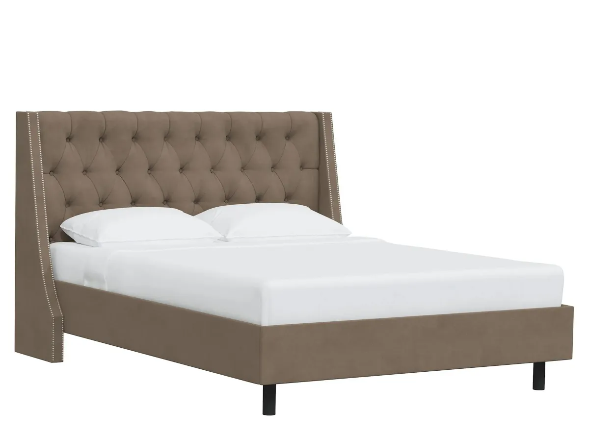 Sheridan Wingback Platform Bed in Velvet Cocoa by Skyline