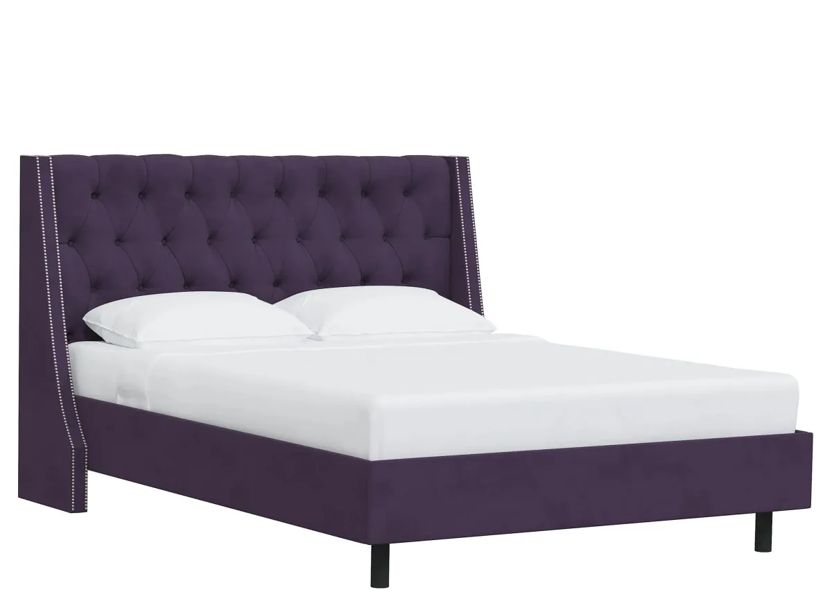 Sheridan Wingback Platform Bed in Velvet Aubergine by Skyline