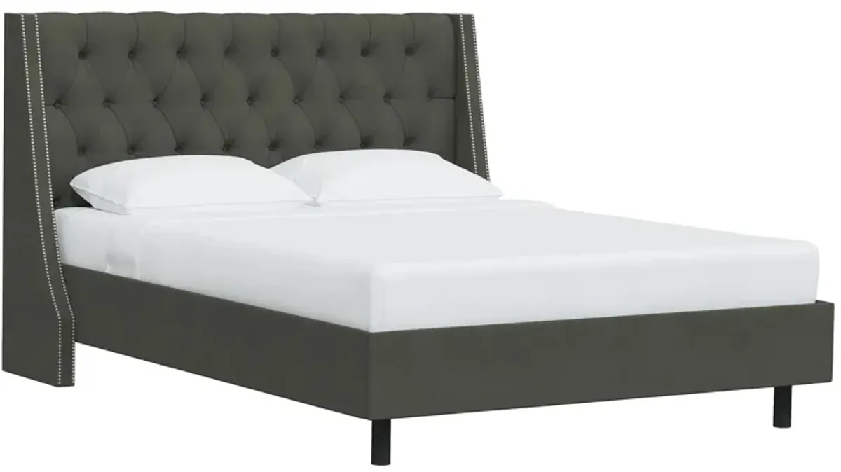 Sheridan Wingback Platform Bed in Velvet Pewter by Skyline