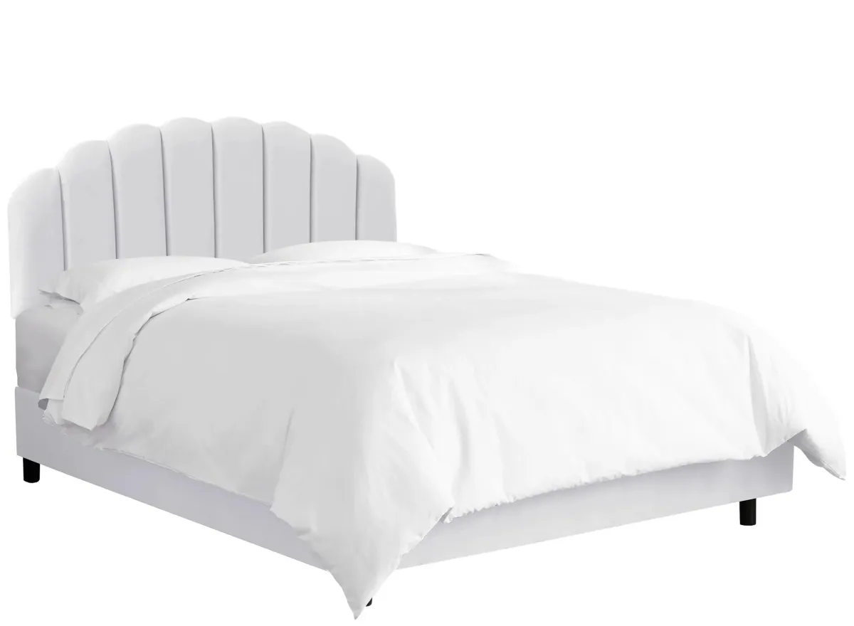 Tanner Bed in Velvet White by Skyline