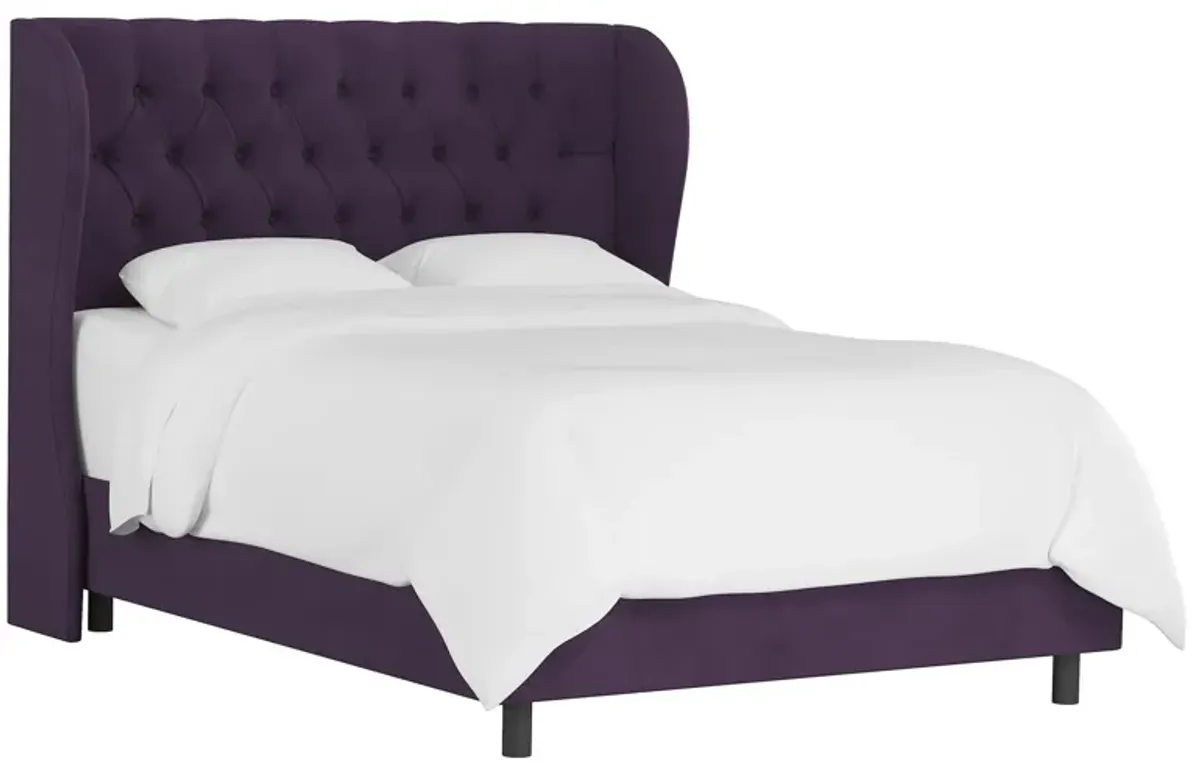 Thayer Wingback Bed in Velvet Aubergine by Skyline