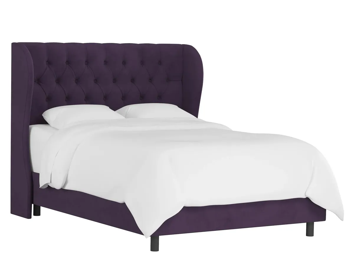 Thayer Wingback Bed in Velvet Aubergine by Skyline