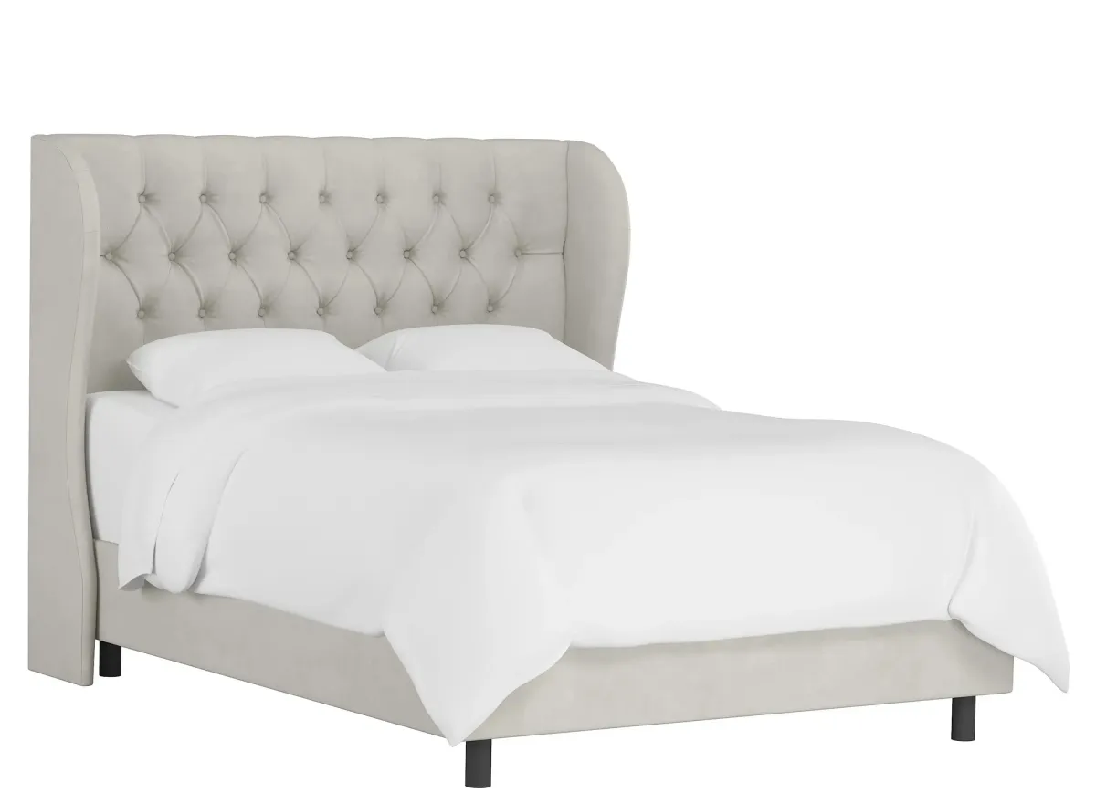 Thayer Wingback Bed in Velvet Light Gray by Skyline