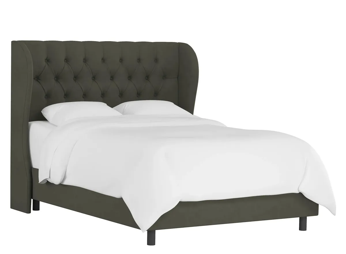 Thayer Wingback Bed in Velvet Pewter by Skyline