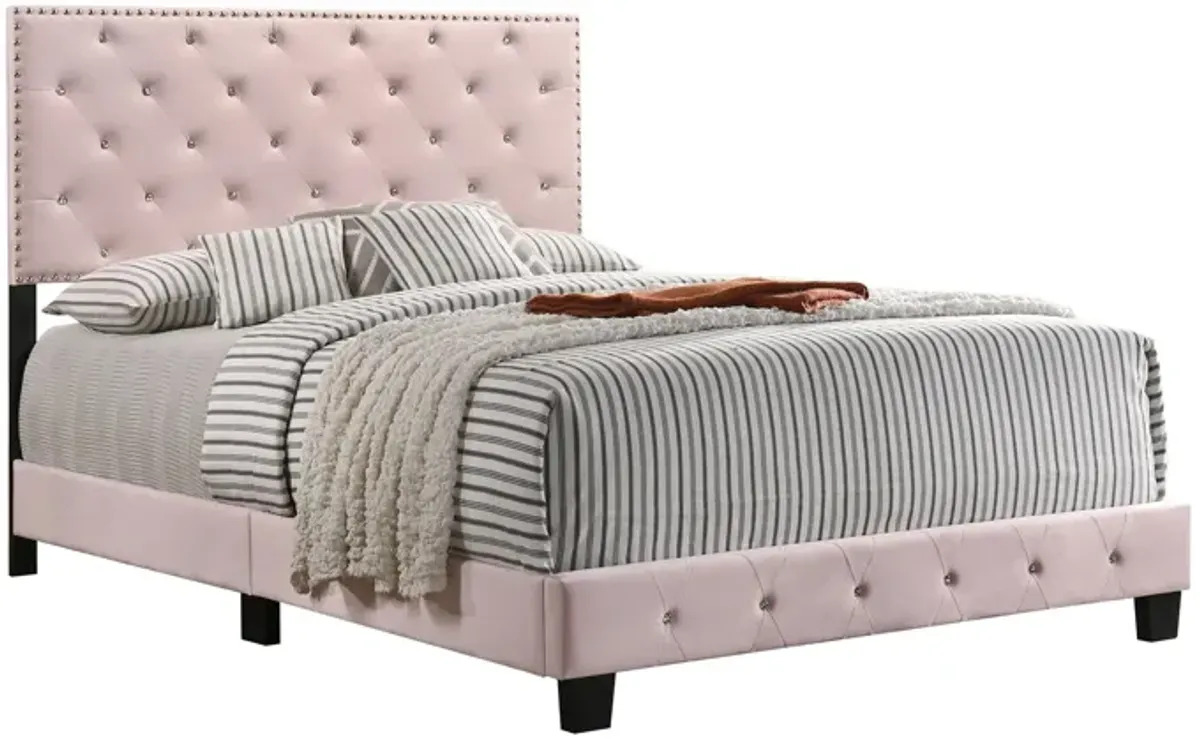 Suffolk Upholstered Panel Bed in Pink by Glory Furniture