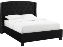 Black color