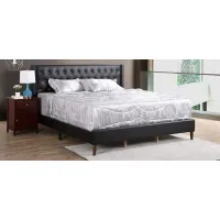 Bergen Upholstered Panel Bed in Black by Glory Furniture