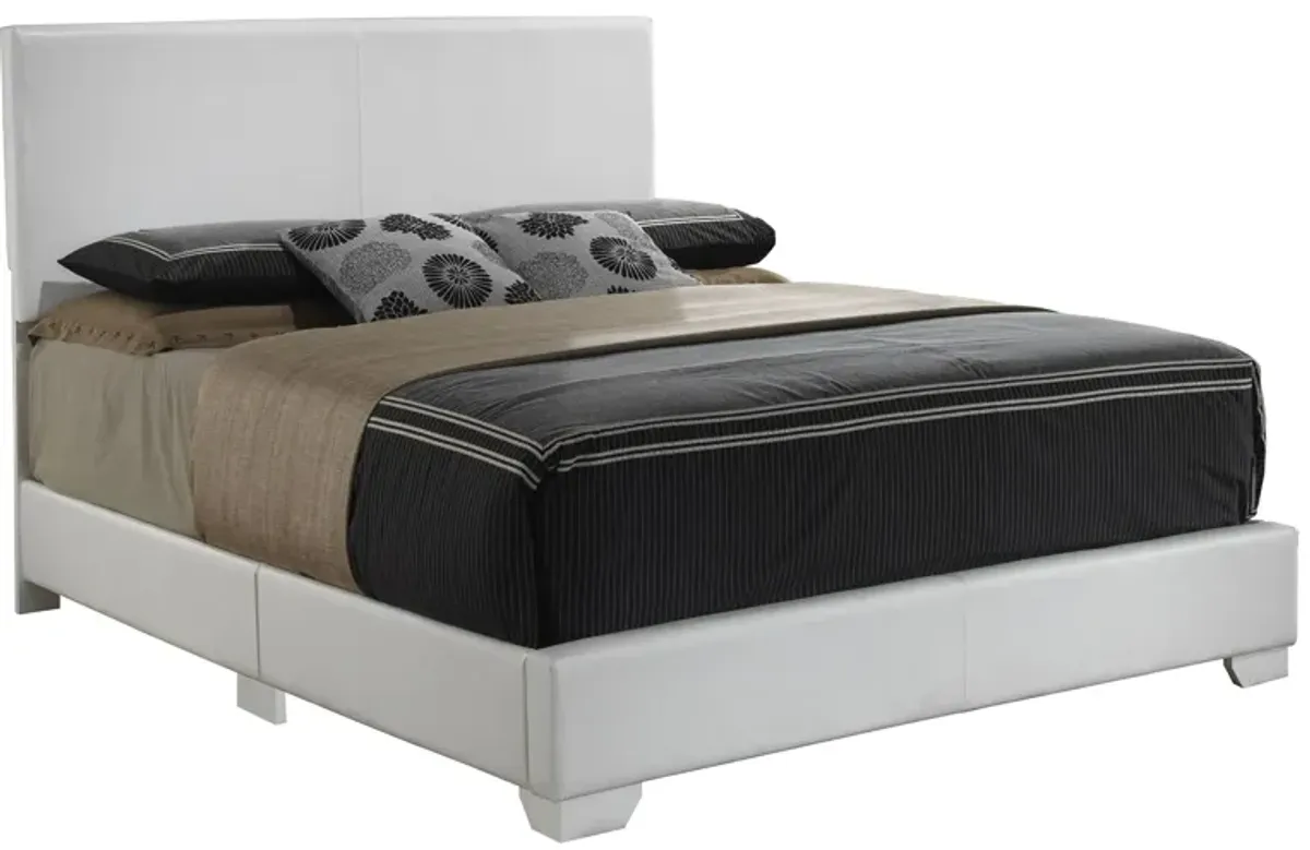 Aaron Upholstered Panel Bed in White by Glory Furniture