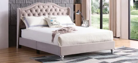 Joy Upholstered Panel Bed in Beige by Glory Furniture