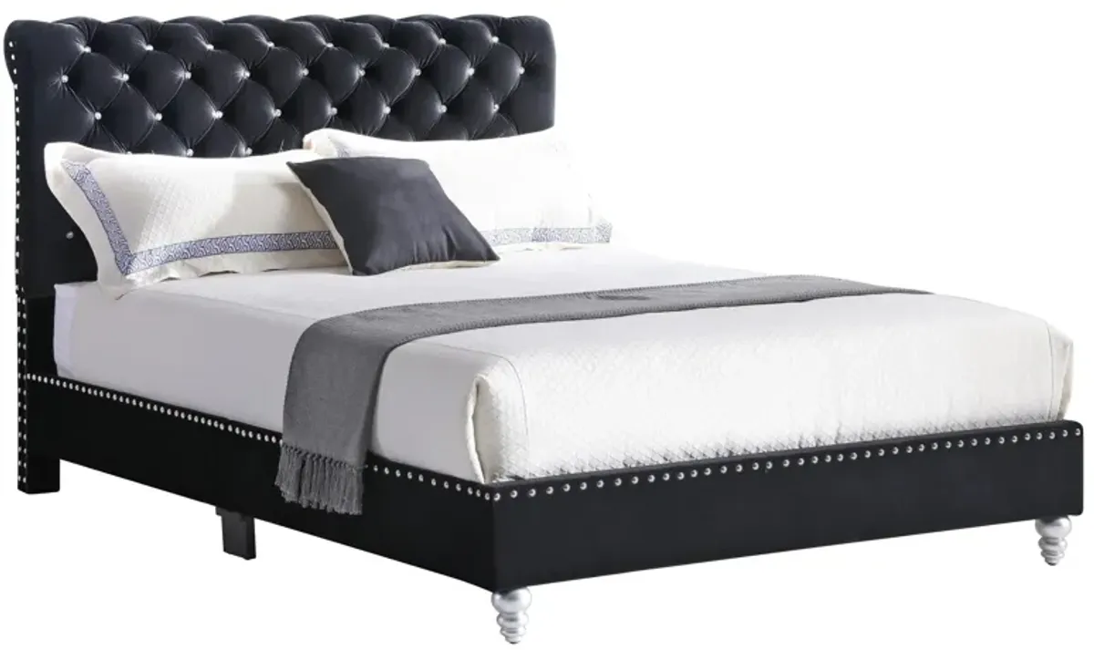 Maxx Upholstered Sleigh Bed in Black by Glory Furniture