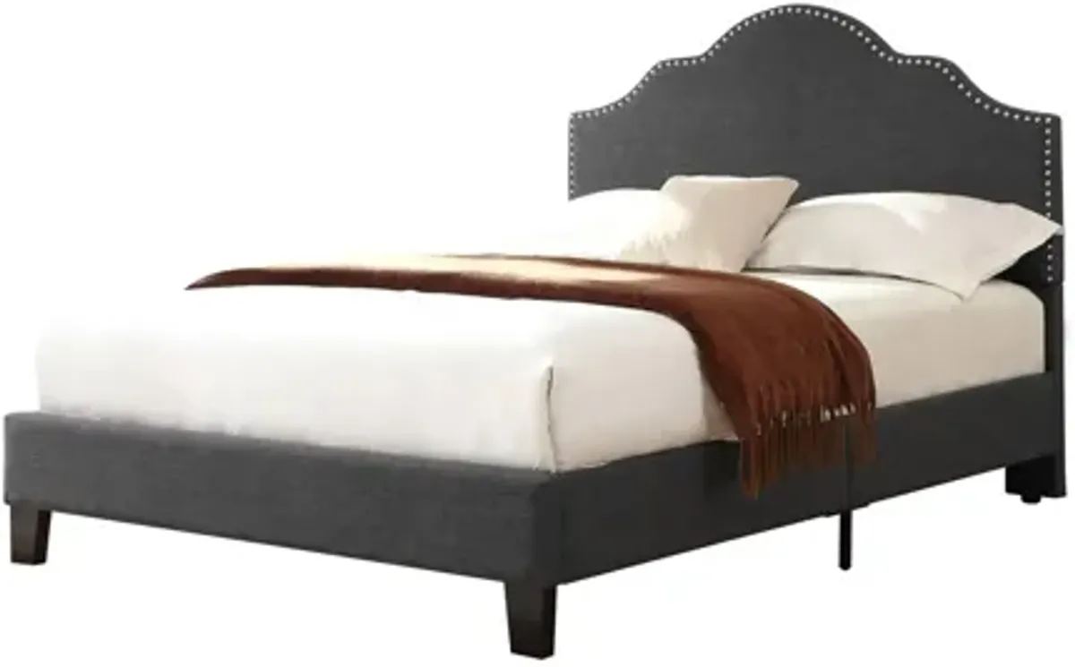 Holtzman Upholstered Bed