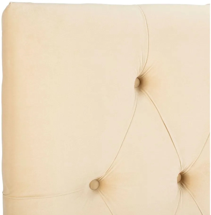 Axel Tufted Upholstered Headboard in Buckwheat by Safavieh