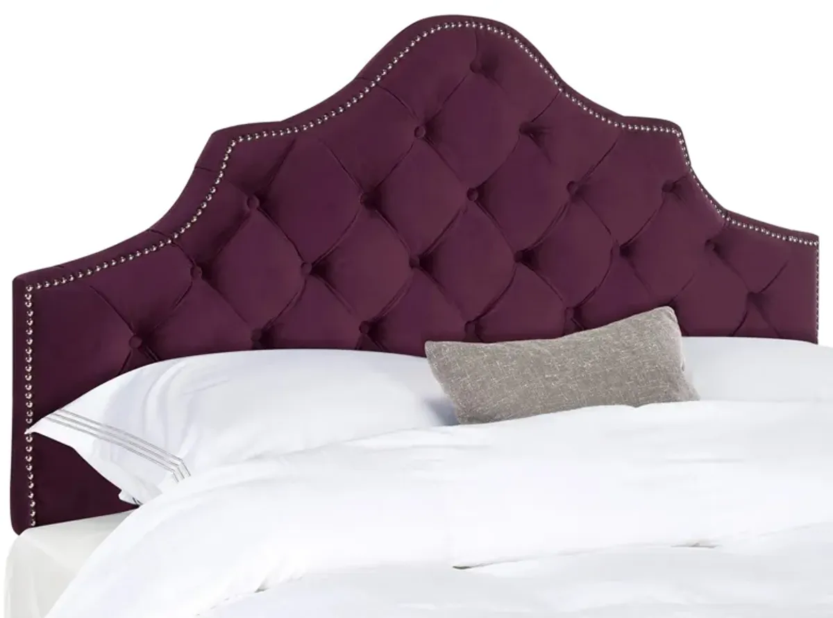 Arebelle Upholstered Headboard in Aubergine by Safavieh