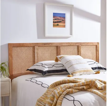 Vienna Cane Mounted Headboard in Natural by Safavieh