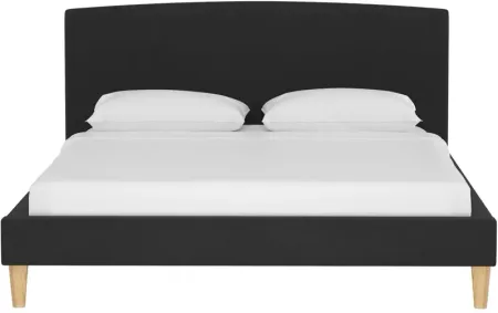 Drita Platform Bed in Velvet Black by Skyline